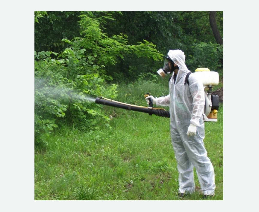 обработка дачи от клещей обработка территории от клещей в Каменск-Шахтинском