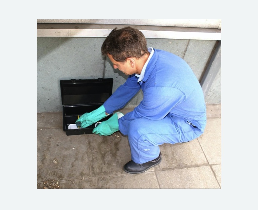 Уничтожение мышей в Каменск-Шахтинском Уничтожение мышей