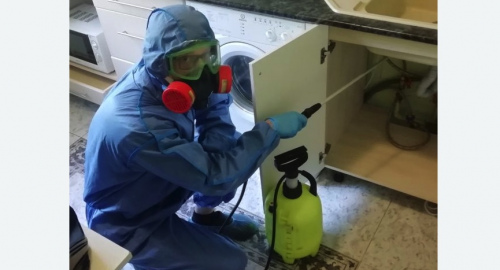 Уничтожение муравьев в квартире. Каменск-Шахтинский