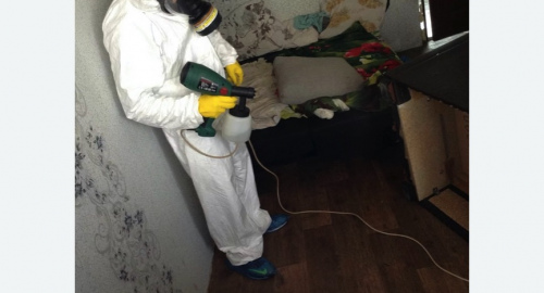 Обработка квартир от насекомых в Каменск-Шахтинском