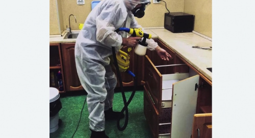 Дезинсекция квартиры. Каменск-Шахтинский