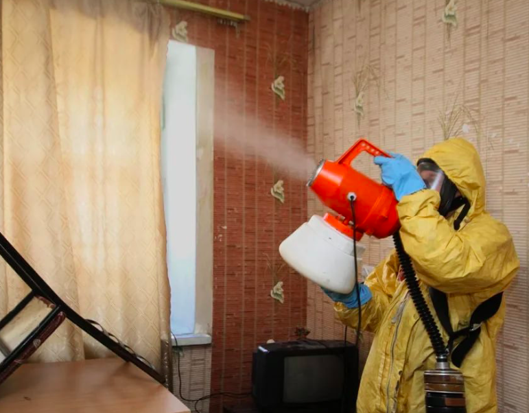 дезинфекция квартиры после смерти Каменск-Шахтинский дезинфекция квартиры после смерти