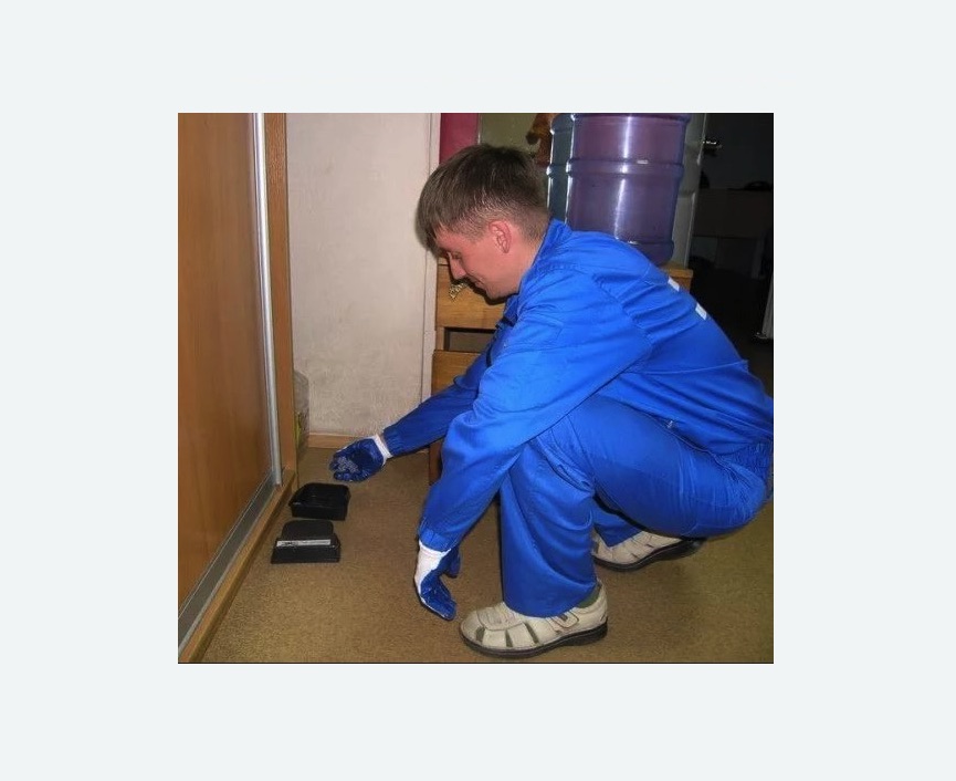 Дератизация крыс Дератизация крыс в Каменск-Шахтинском