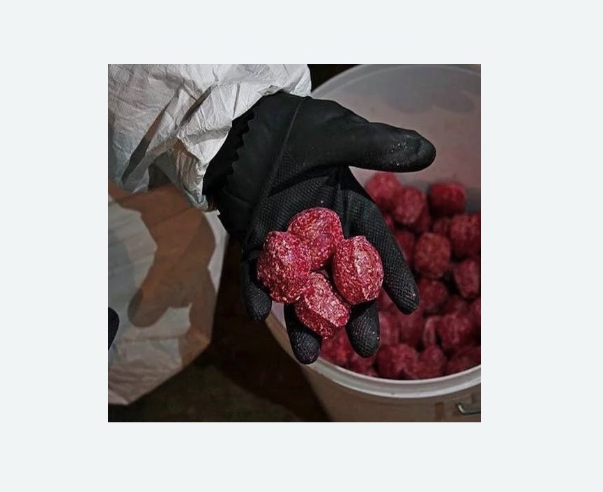 Обработка от крыс Обработка от крыс в Каменск-Шахтинском