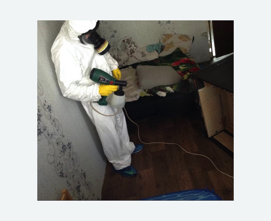 Обработка от насекомых в Каменск-Шахтинском Обработка квартиры от насекомых