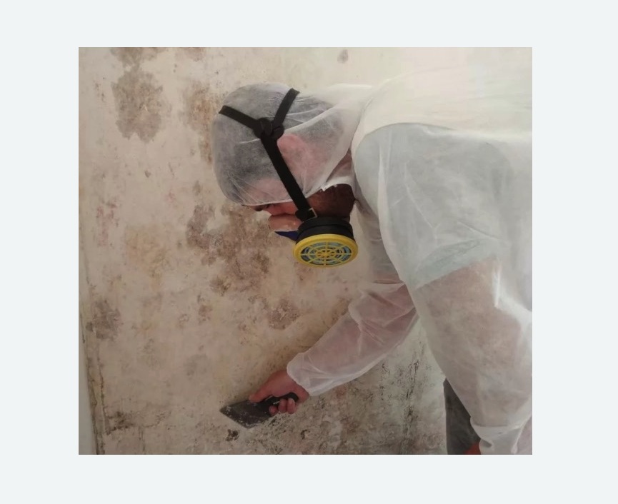 Обработка стен от плесени в Каменск-Шахтинском