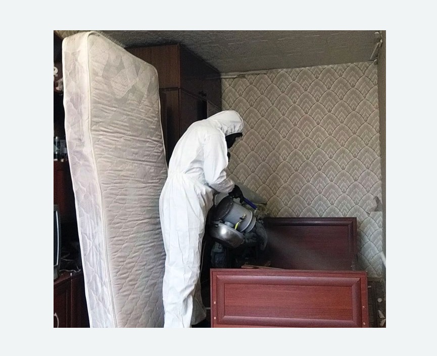 дезинфекция от клопов дезинфекция от клопов в Каменск-Шахтинском