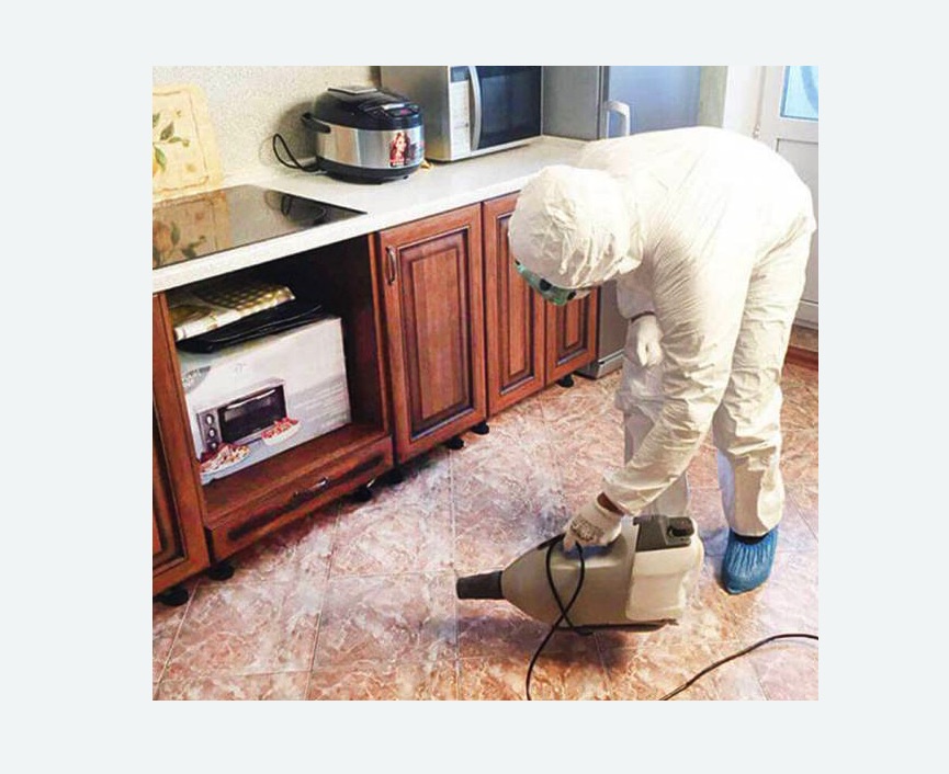 обработка квартиры от клопов в Каменск-Шахтинском обработка квартиры от клопов