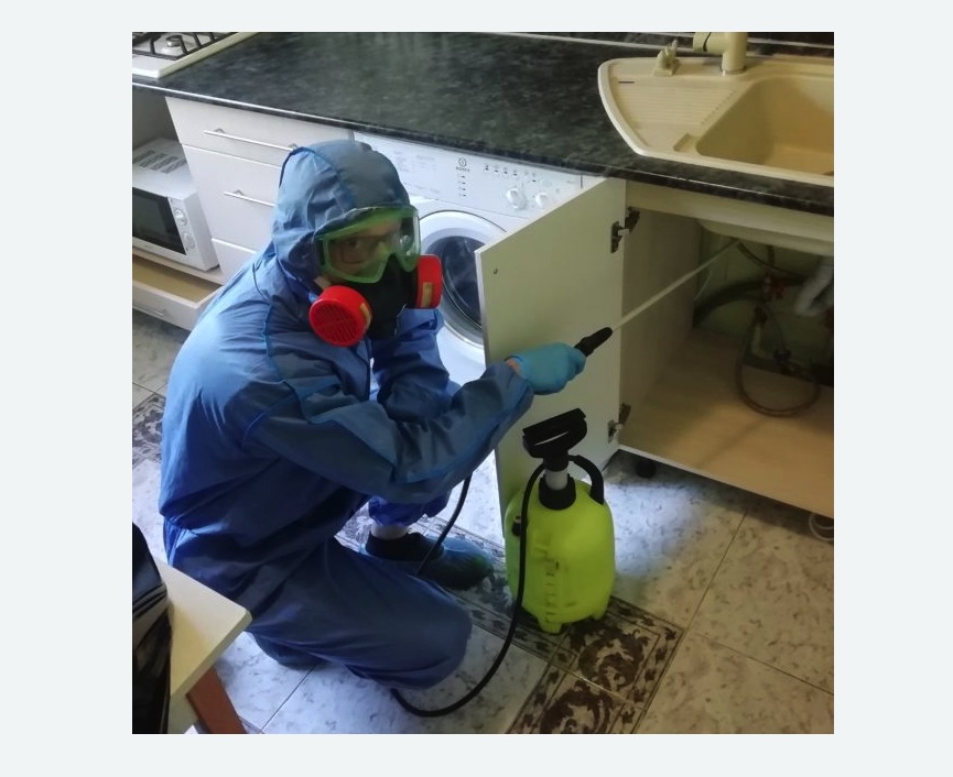 обработка от муравьев в квартире в Каменск-Шахтинском