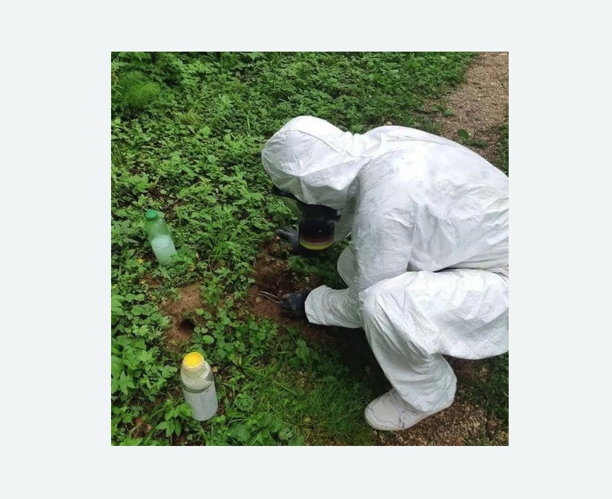 уничтожение кротов на участке уничтожение кротов на участке в Каменск-Шахтинском