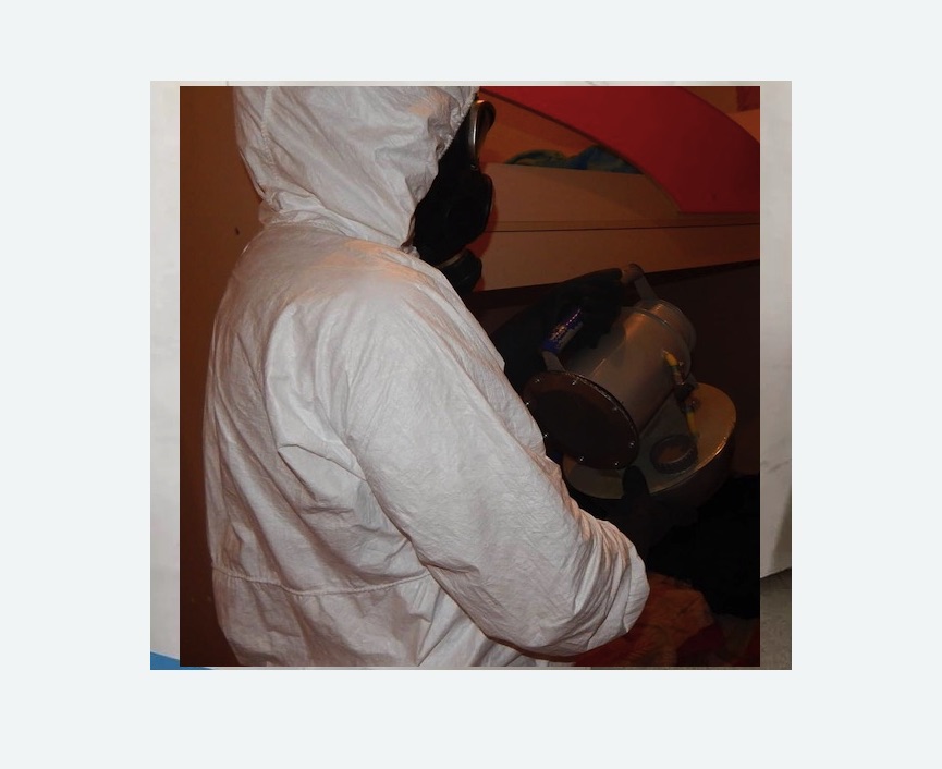 Дезинфекция от муравьев в Каменск-Шахтинском